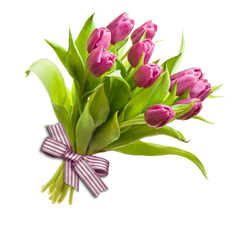Bouquet flowers PNG    图片编号:21638