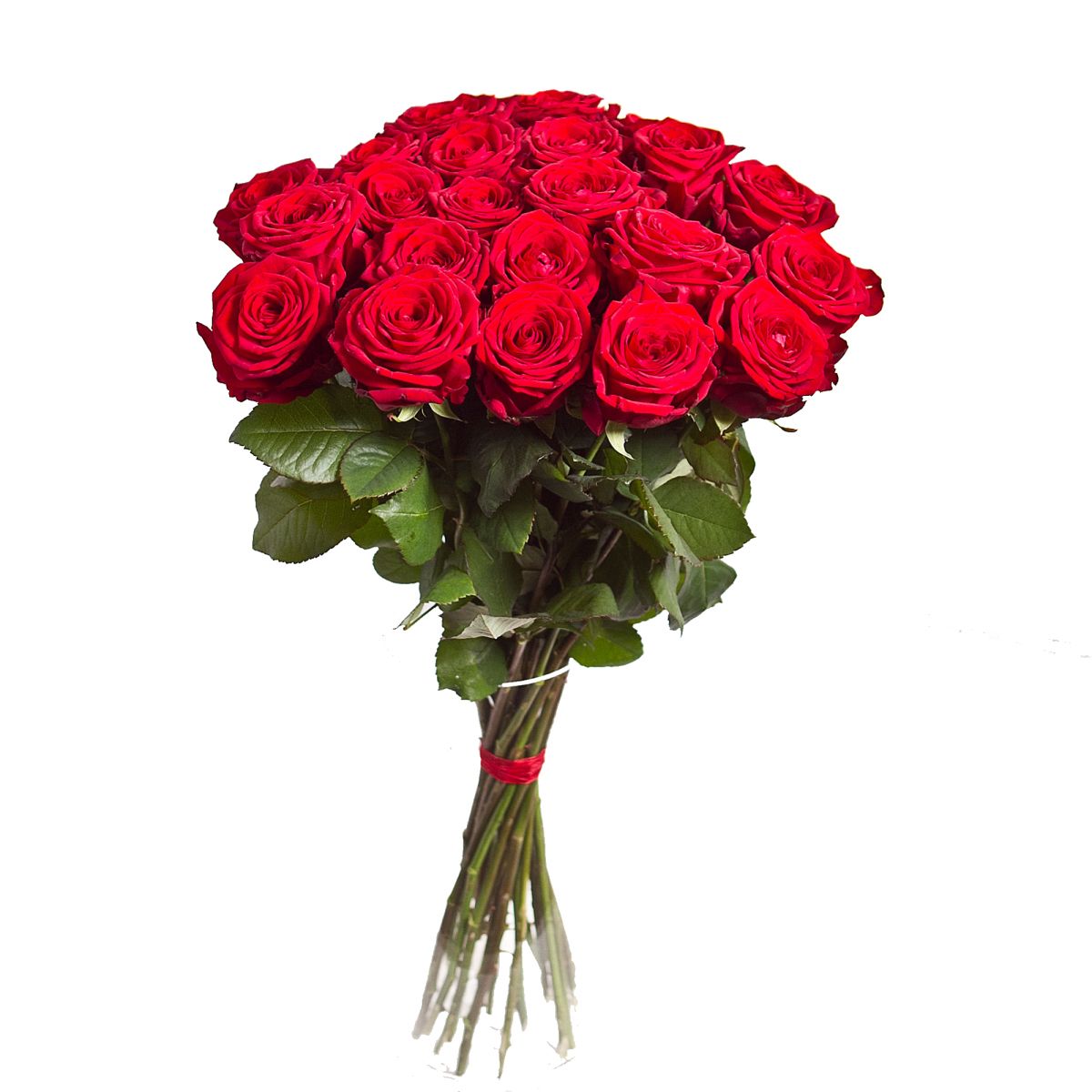 Bouquet flowers PNG    图片编号:21639