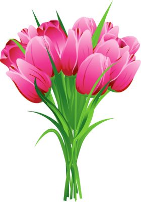 Bouquet flowers PNG    图片编号:21644