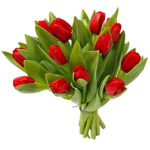 Bouquet flowers PNG    图片编号:21648