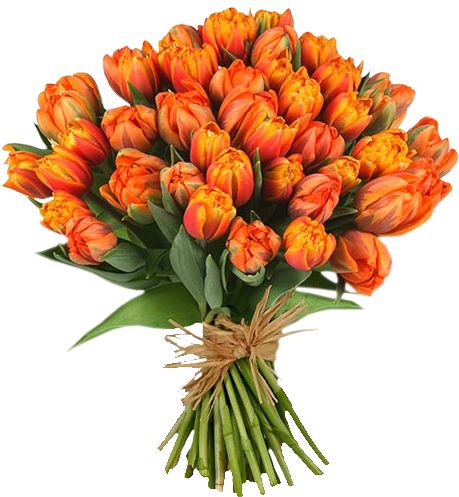Bouquet flowers PNG    图片编号:21649