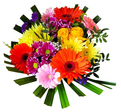 Bouquet flowers PNG    图片编号:21651