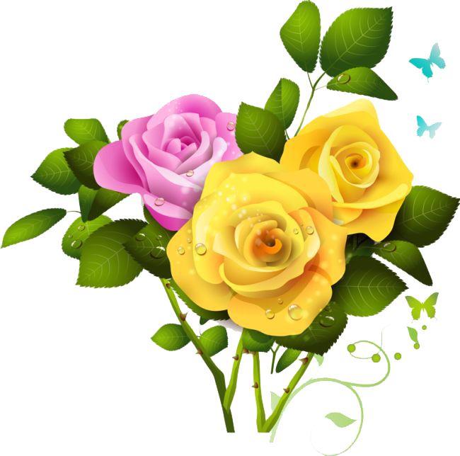 Bouquet flowers PNG    图片编号:21654