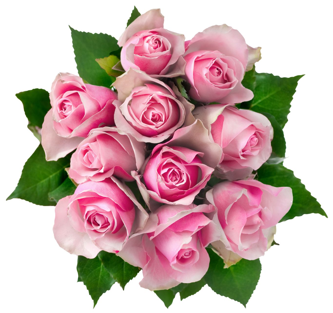 Bouquet flowers PNG    图片编号:21657