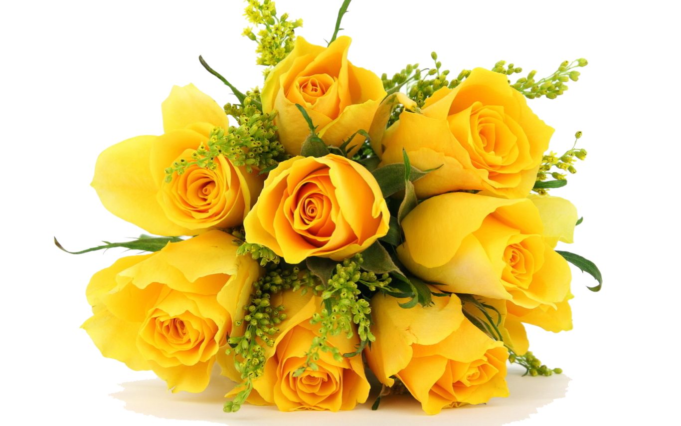 Bouquet flowers PNG    图片编号:21658