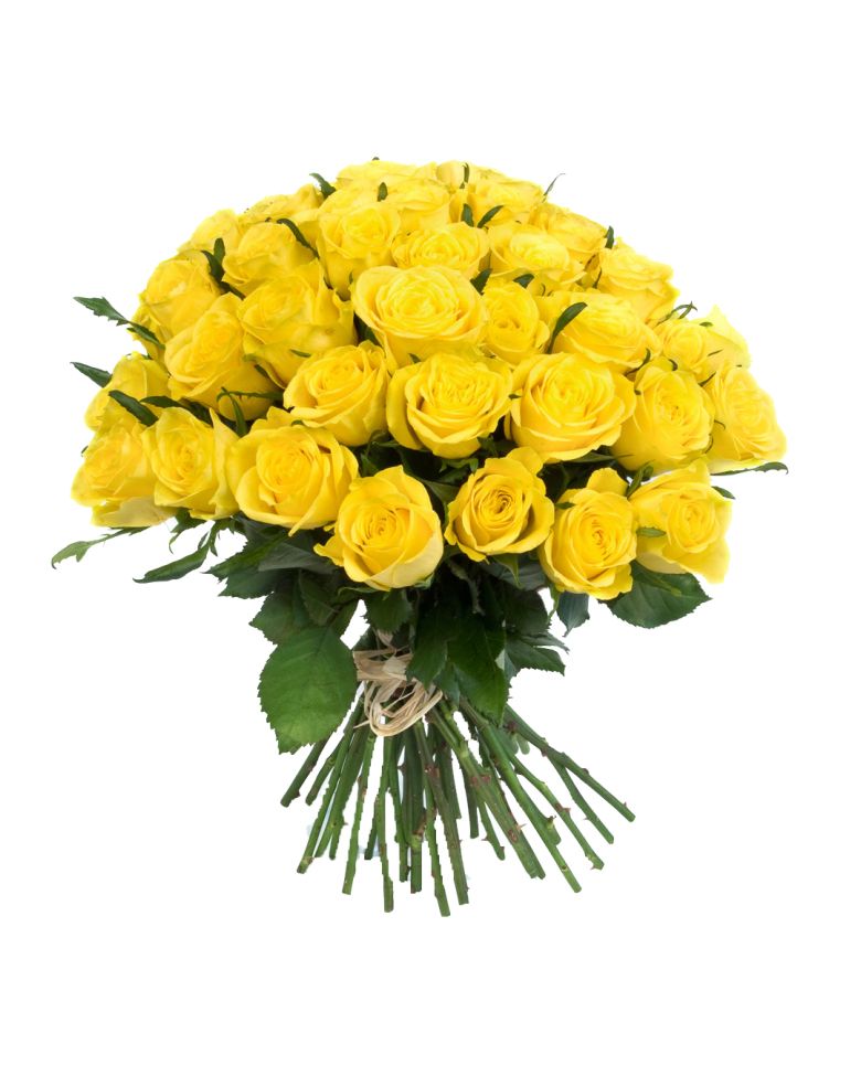 Bouquet flowers PNG    图片编号:21659