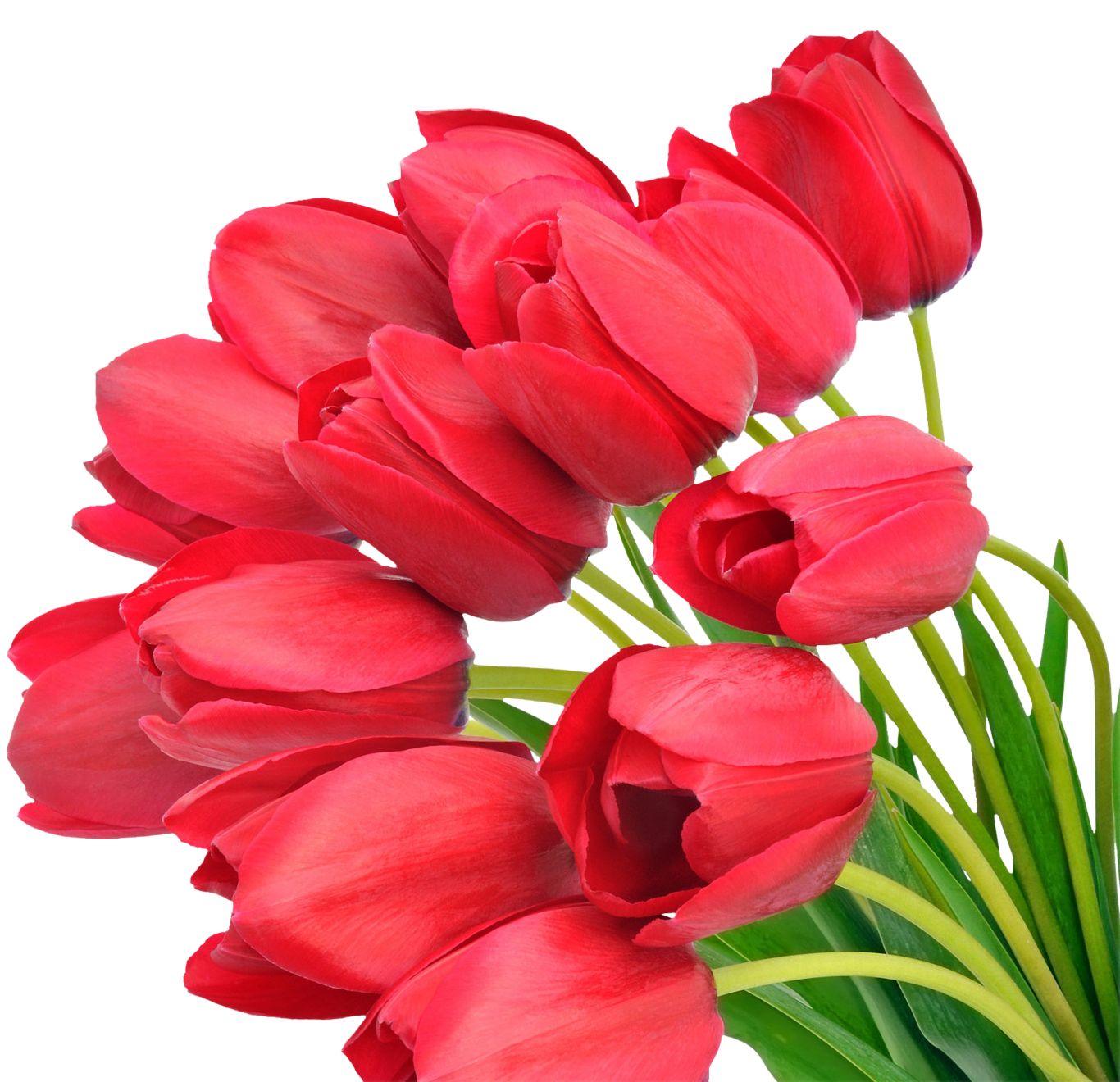 Bouquet flowers PNG    图片编号:21615