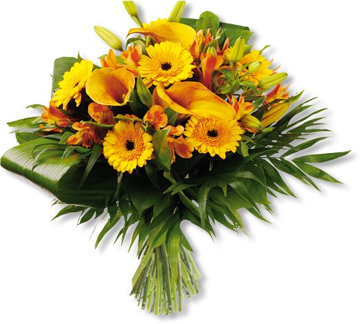 Bouquet flowers PNG    图片编号:21662