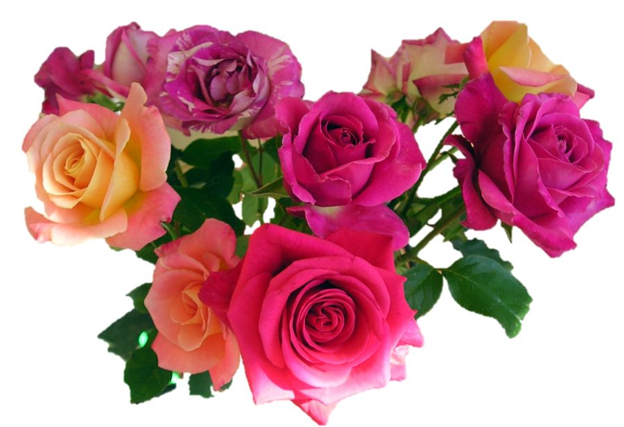 Bouquet flowers PNG    图片编号:21663