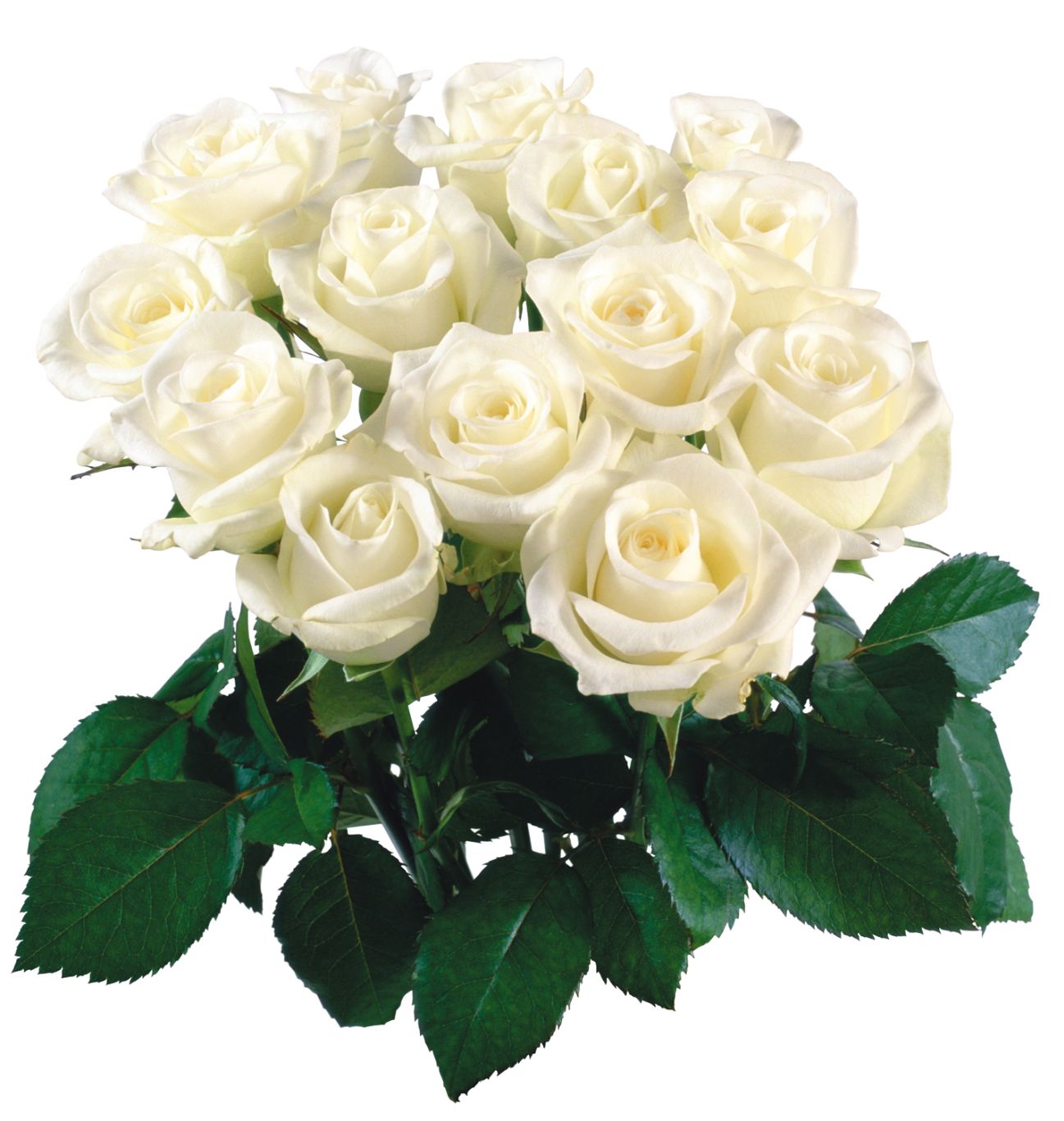 Bouquet flowers PNG    图片编号:21666