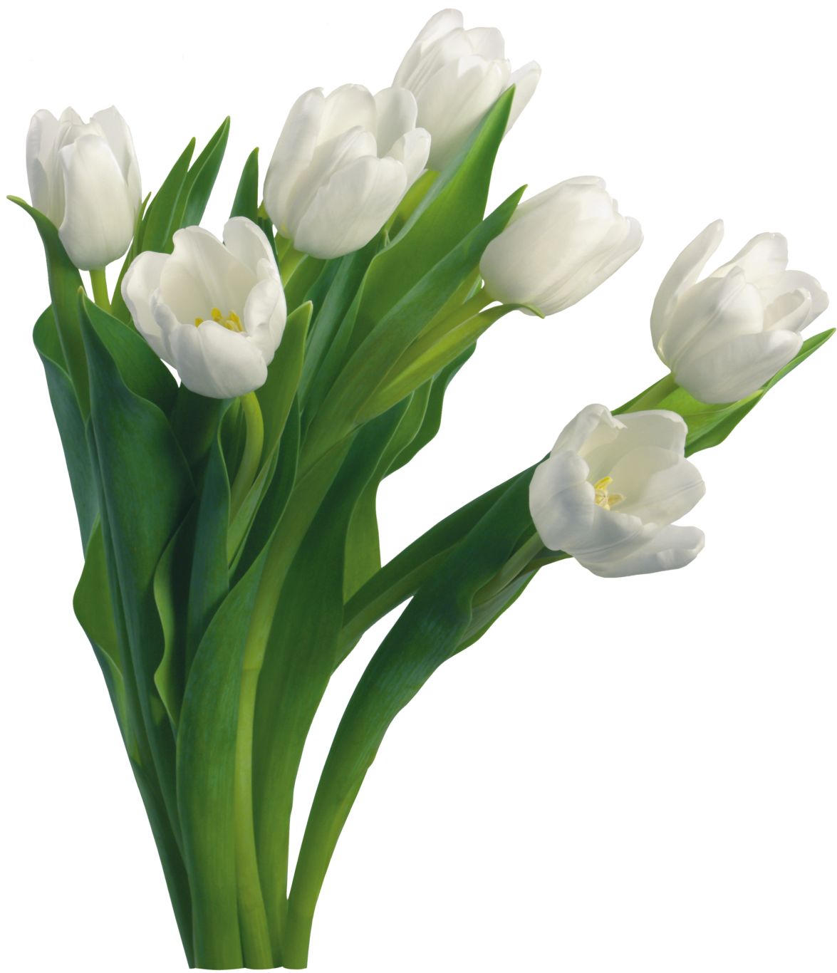 Bouquet flowers PNG    图片编号:21668