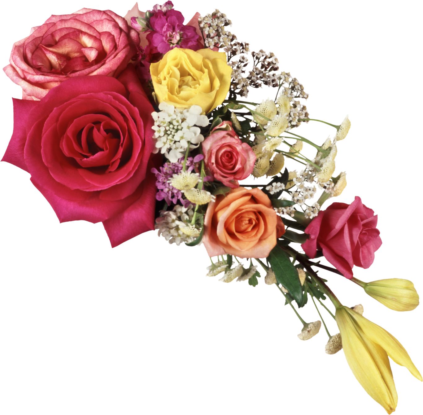 Bouquet flowers PNG    图片编号:21669