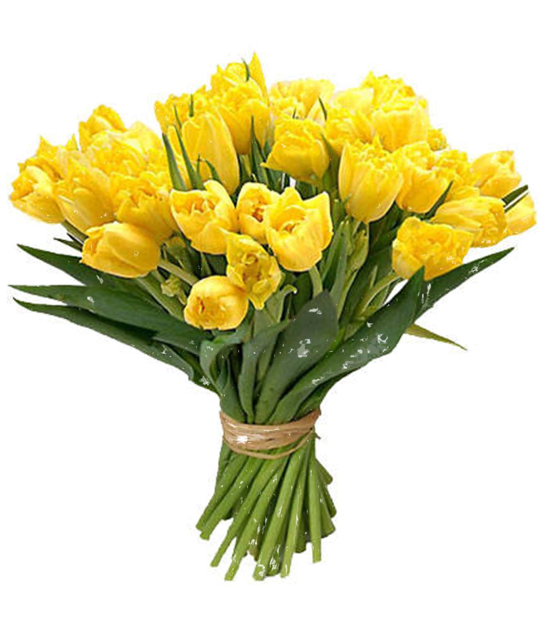 Bouquet flowers PNG    图片编号:21674