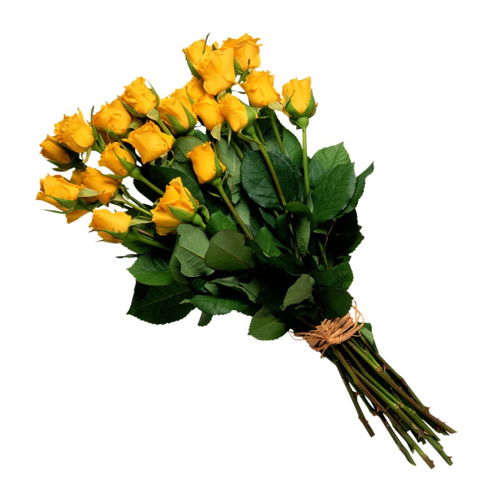 Bouquet flowers PNG    图片编号:21618