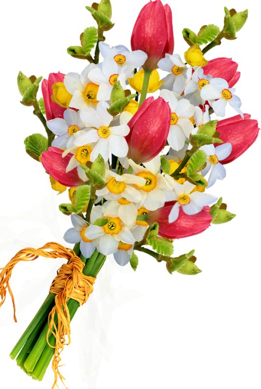 Bouquet flowers PNG    图片编号:21619