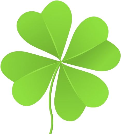Clover PNG    图片编号:24242