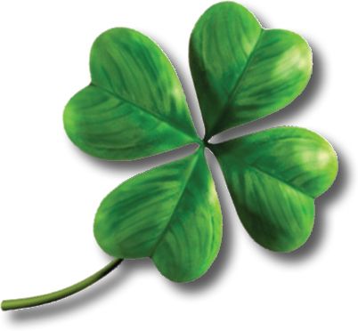 Clover PNG image    图片编号:4522