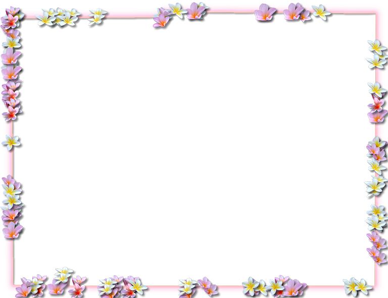 Floral frame PNG    图片编号:81122