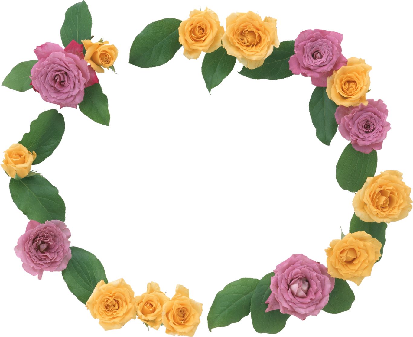 Floral frame PNG    图片编号:81133