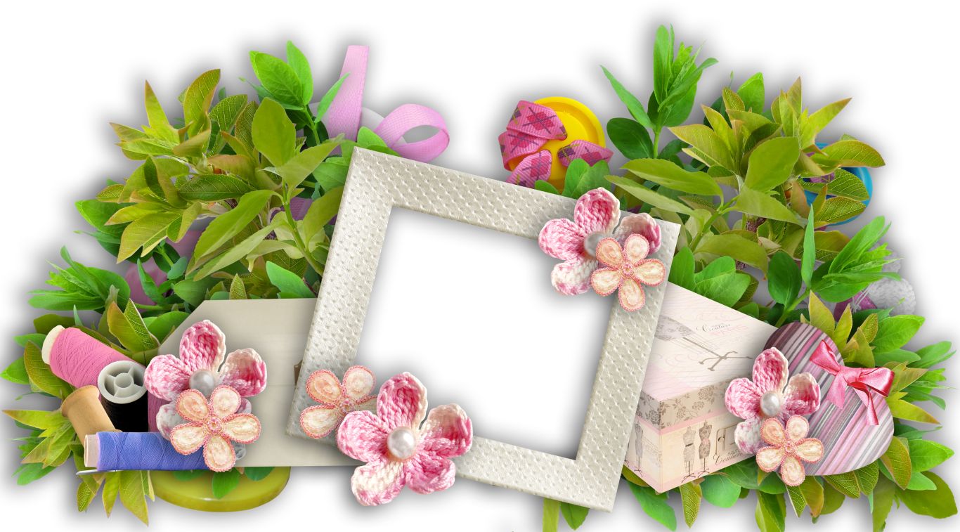 Floral frame PNG    图片编号:81143
