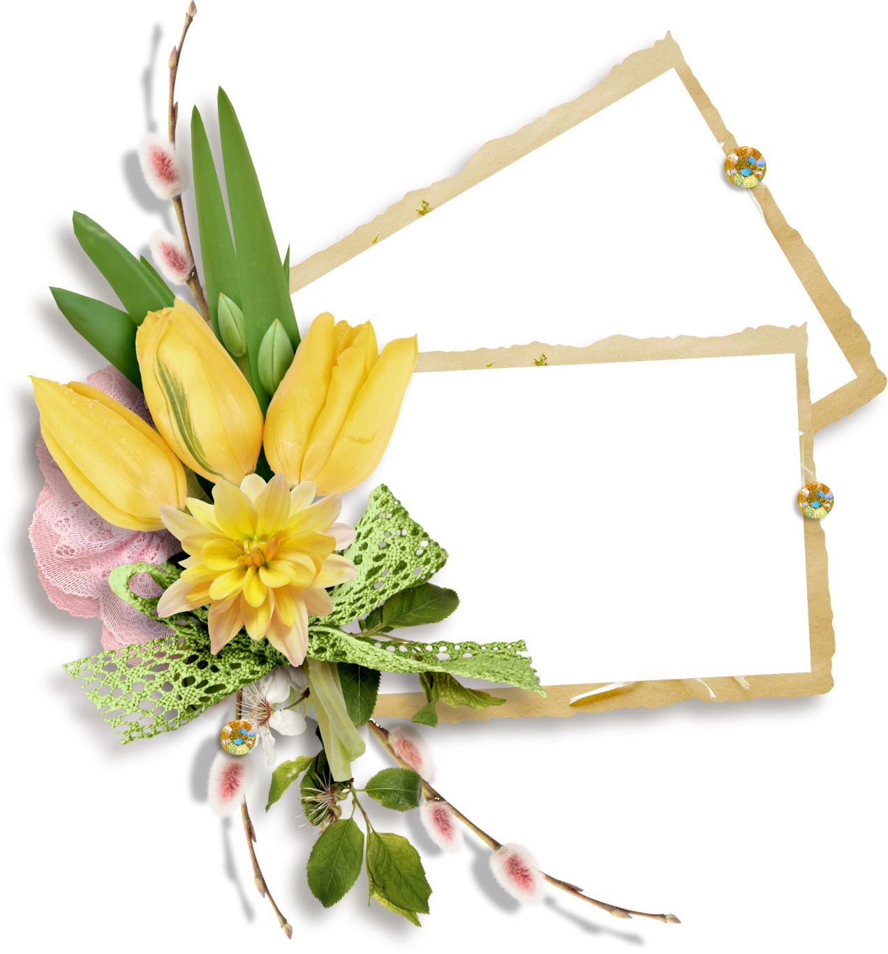 Floral frame PNG    图片编号:81149