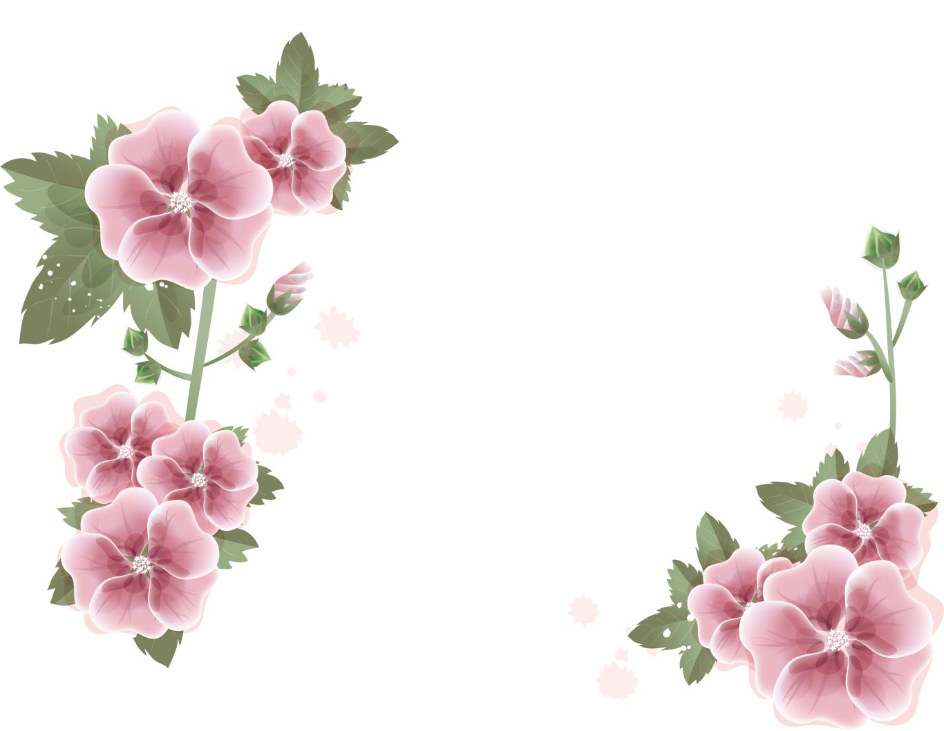 Floral frame PNG    图片编号:81150