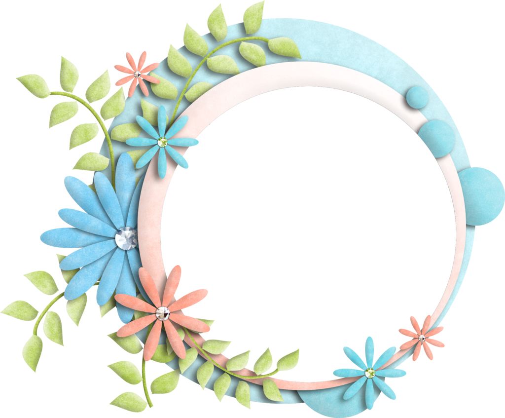 Floral frame PNG    图片编号:81025