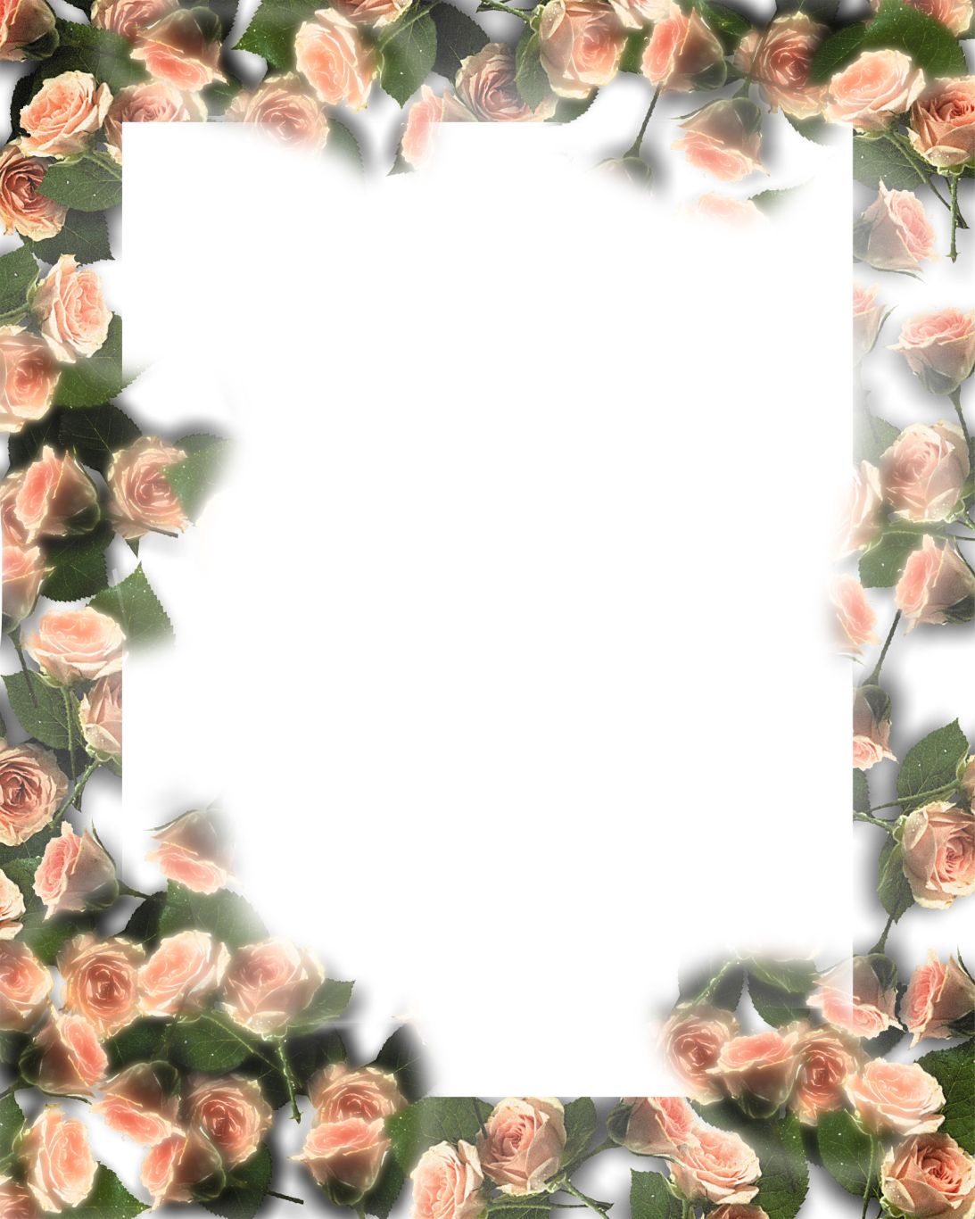 Floral frame PNG    图片编号:81027