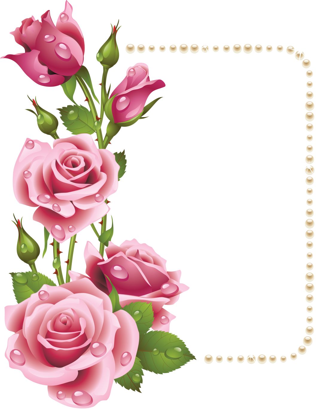 Floral frame PNG    图片编号:81172