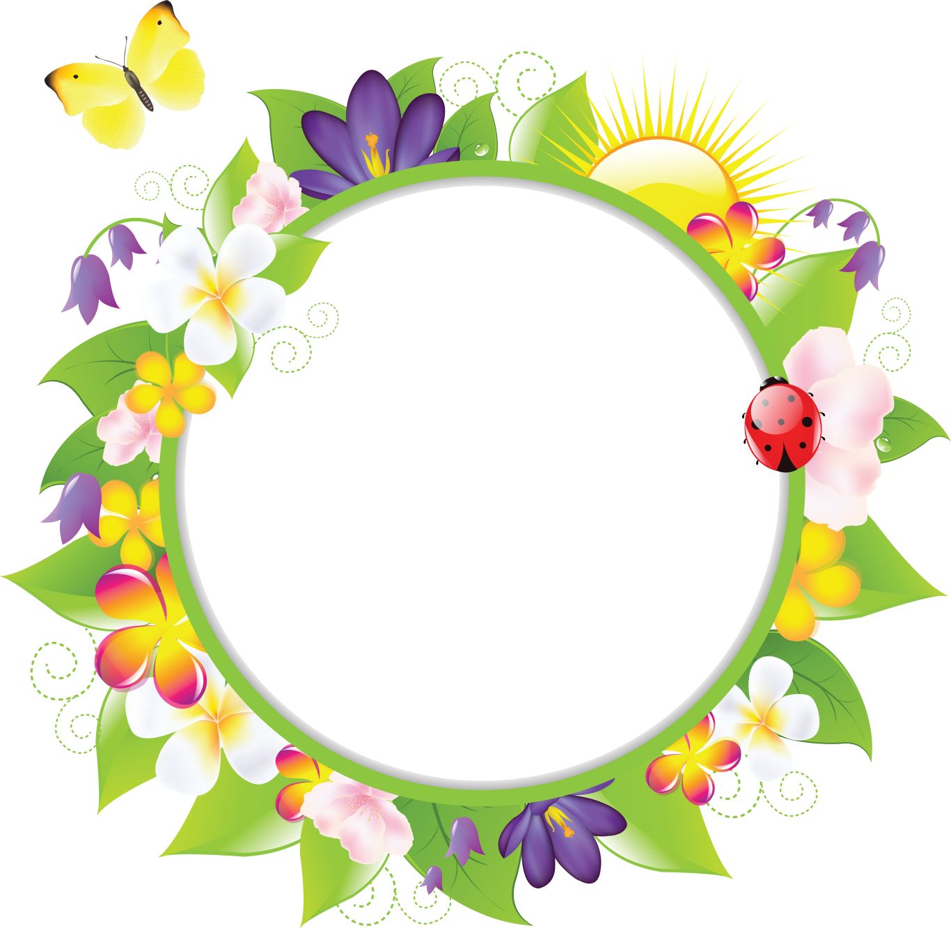 Floral frame PNG    图片编号:81182