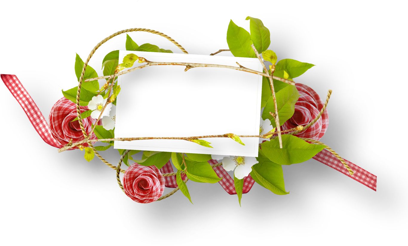 Floral frame PNG    图片编号:81185