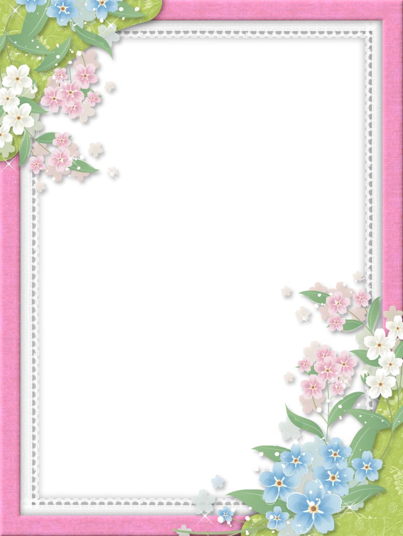 Floral frame PNG    图片编号:81030