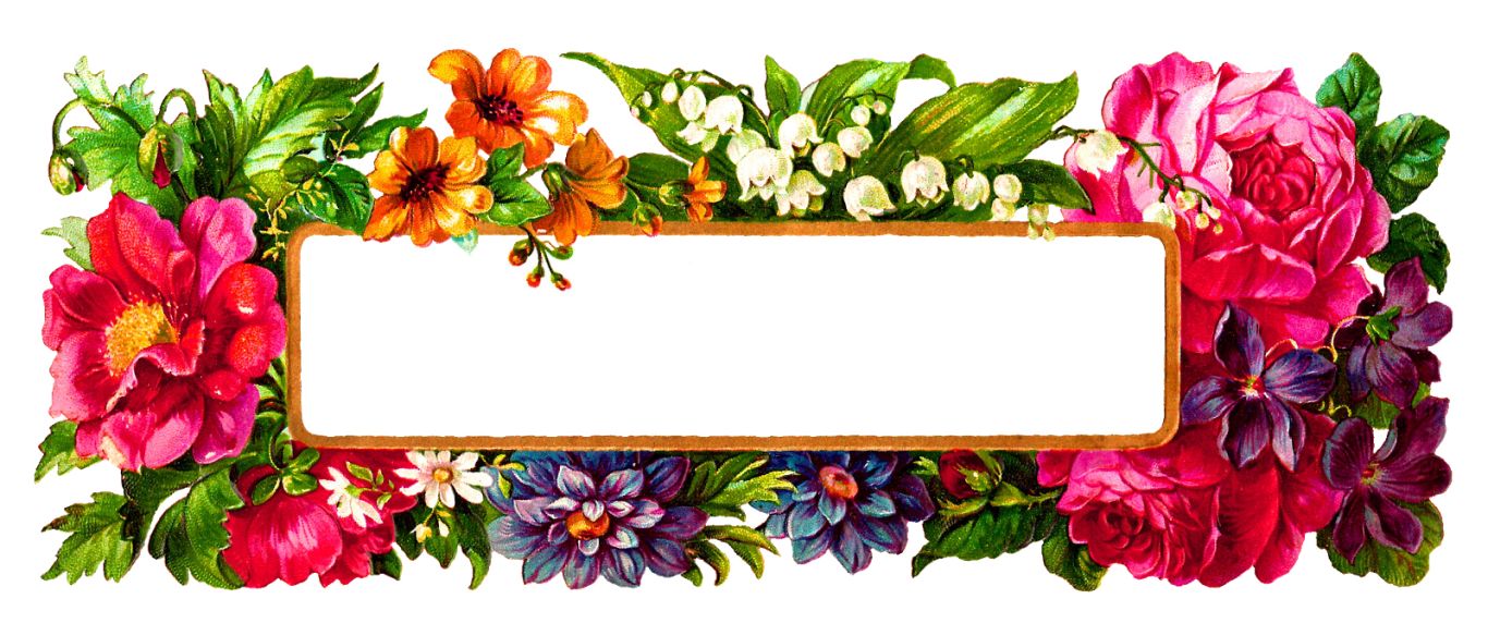 Floral frame PNG    图片编号:81202