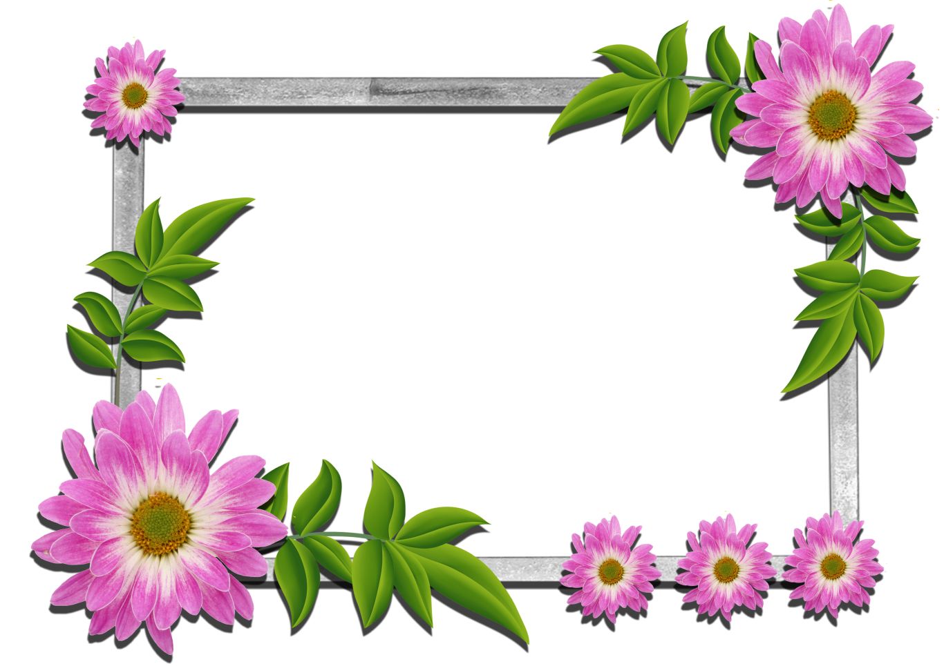 Floral frame PNG    图片编号:81205