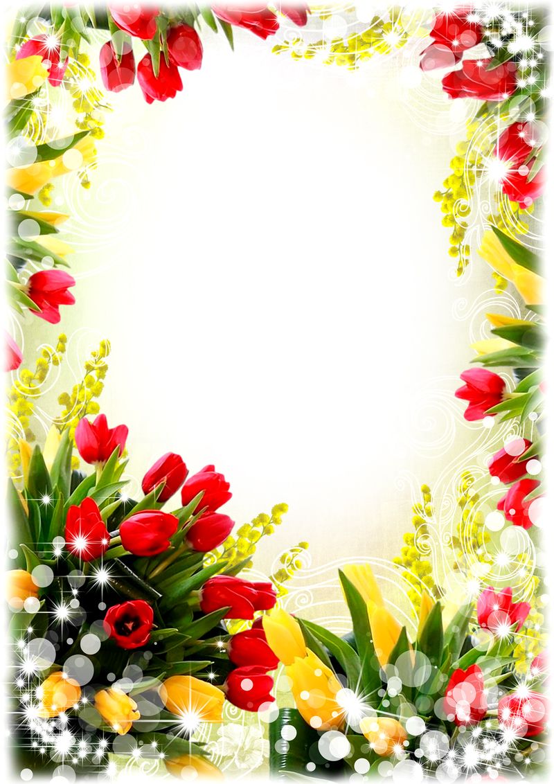 Floral frame PNG    图片编号:81206