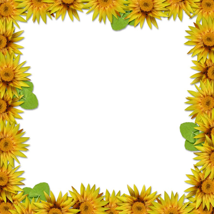 Floral frame PNG    图片编号:81212