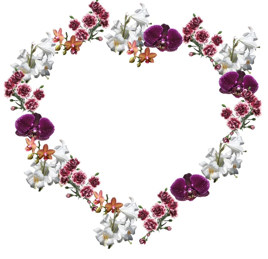 Floral frame PNG    图片编号:81213