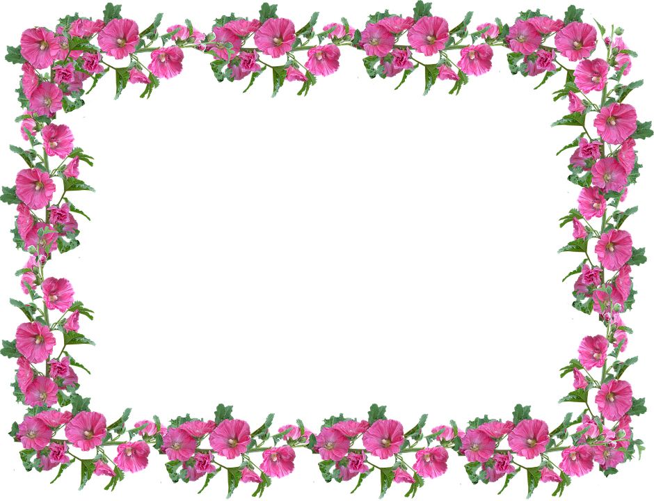 Floral frame PNG    图片编号:81215