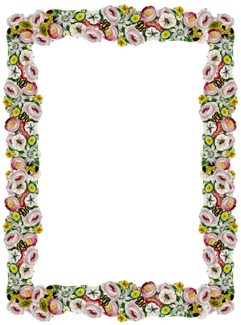 Floral frame PNG    图片编号:81218