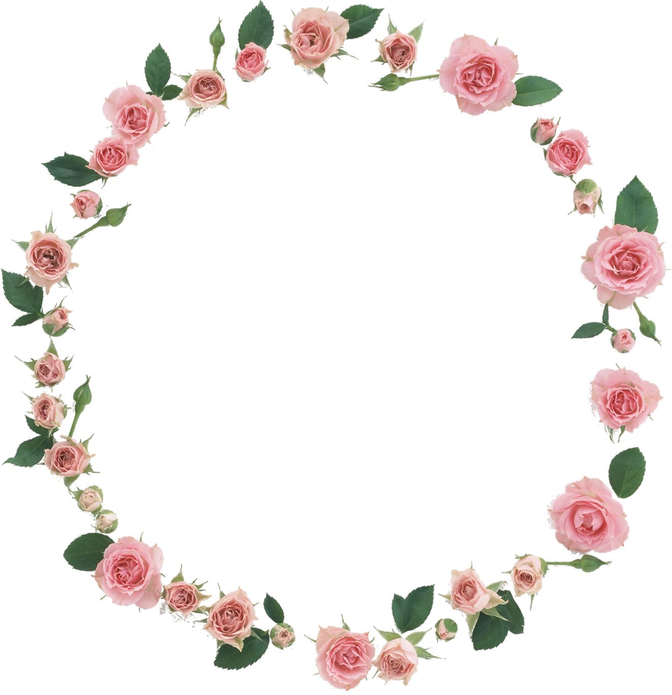 Floral frame PNG    图片编号:81032