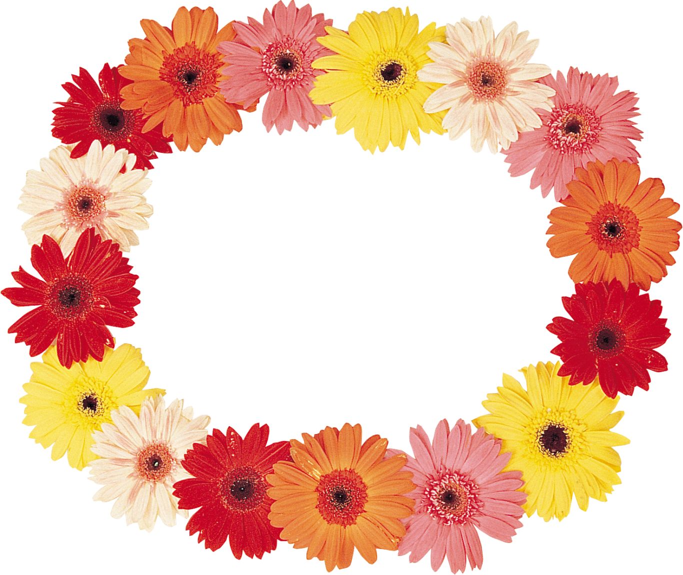Floral frame PNG    图片编号:81226
