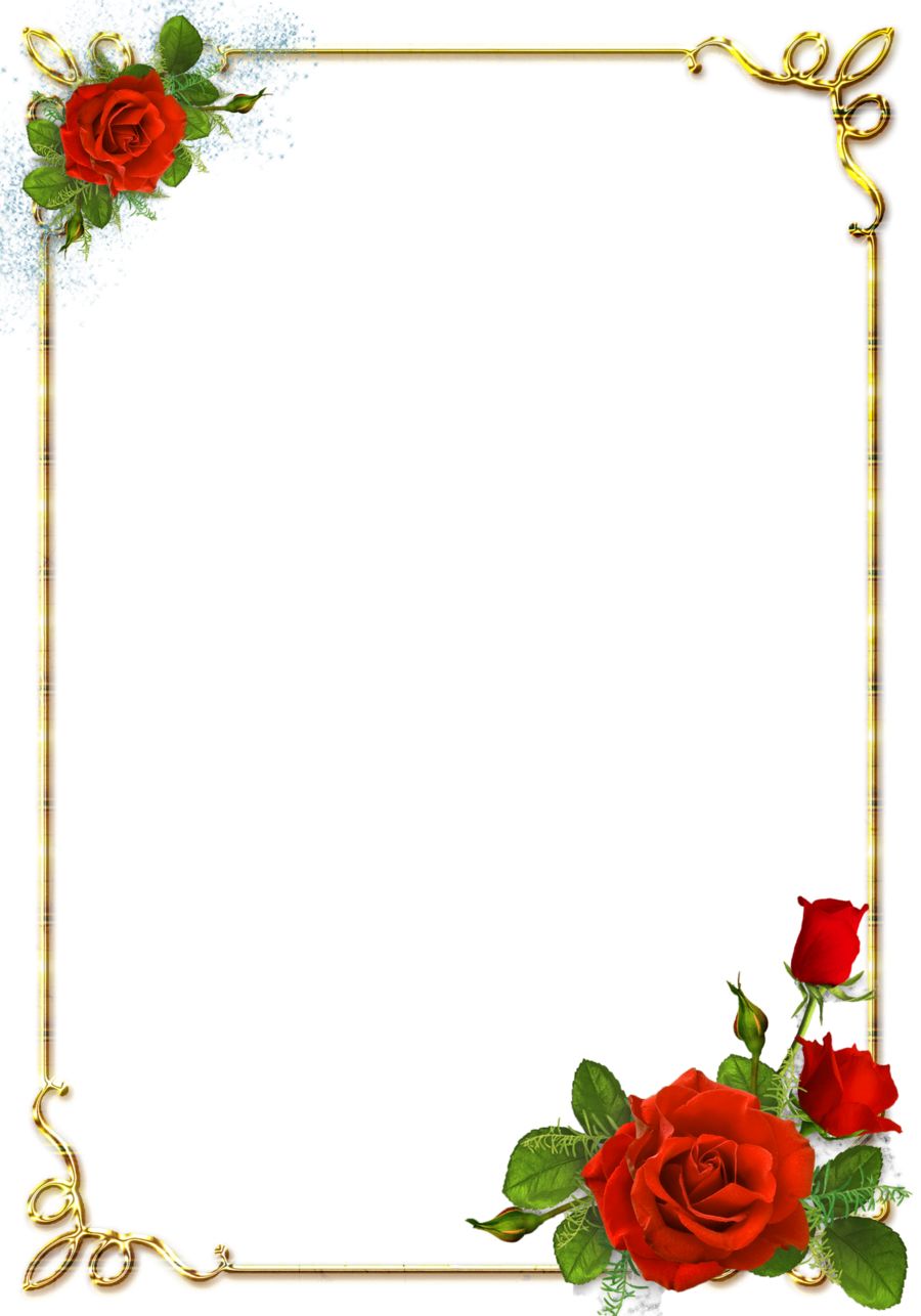 Floral frame PNG    图片编号:81229