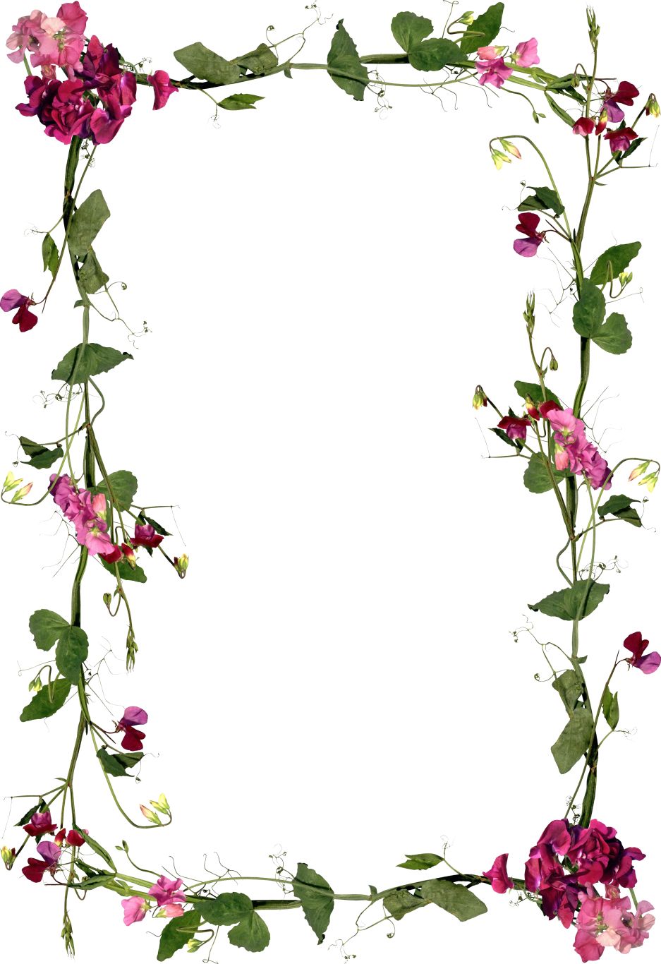 Floral frame PNG    图片编号:81234