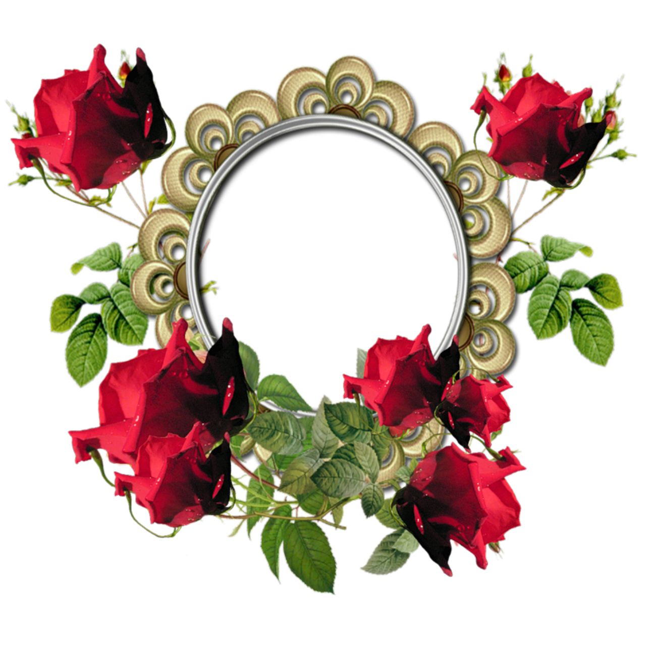 Floral frame PNG    图片编号:81236