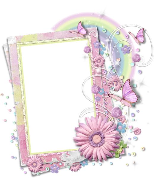 Floral frame PNG    图片编号:81241
