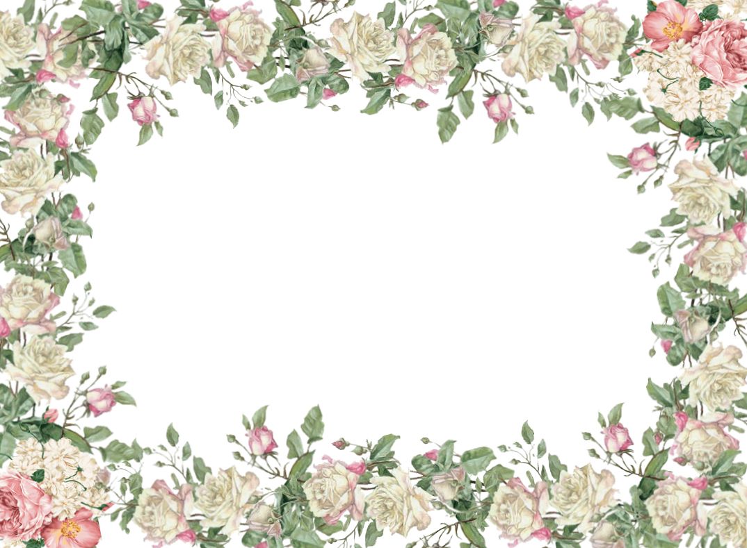 Floral frame PNG    图片编号:81246