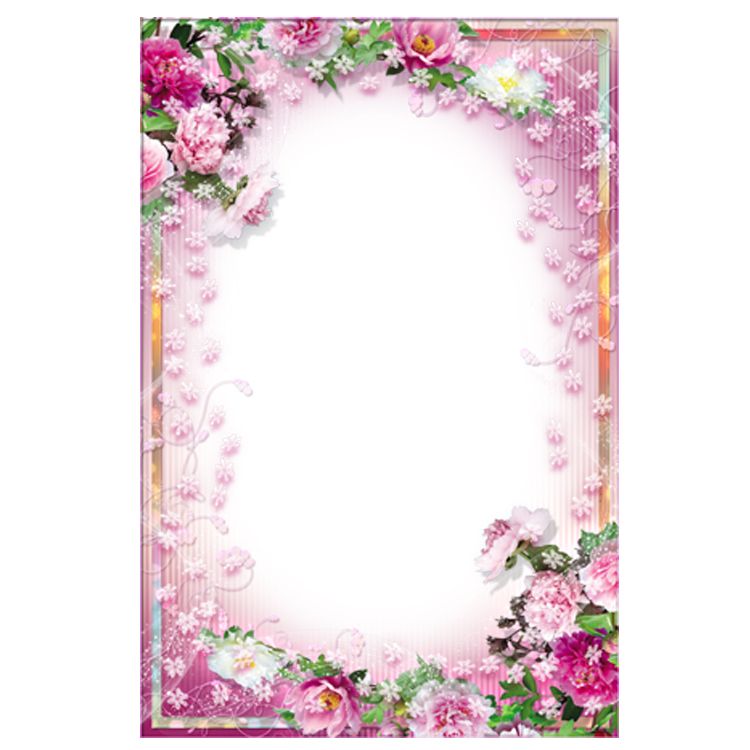Floral frame PNG    图片编号:81249