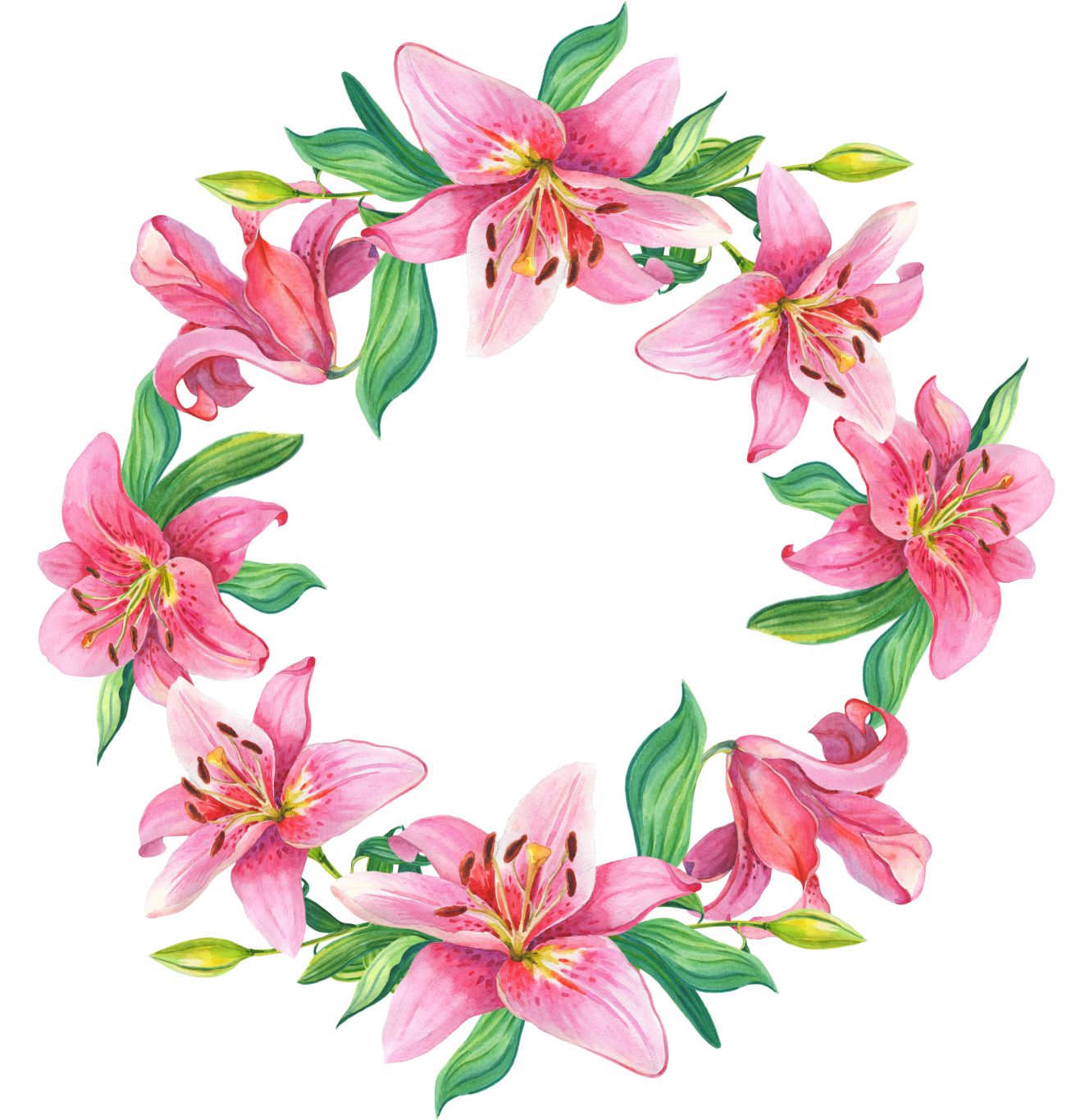 Floral frame PNG    图片编号:81256