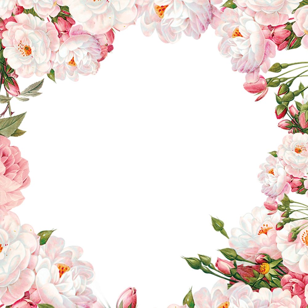 Floral frame PNG    图片编号:81036
