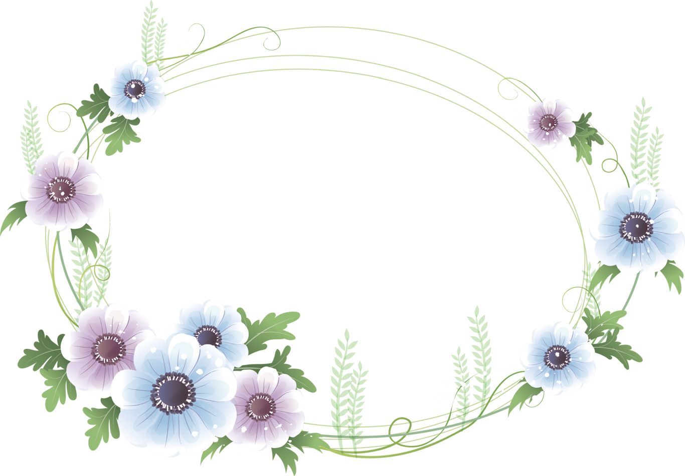 Floral frame PNG    图片编号:81262